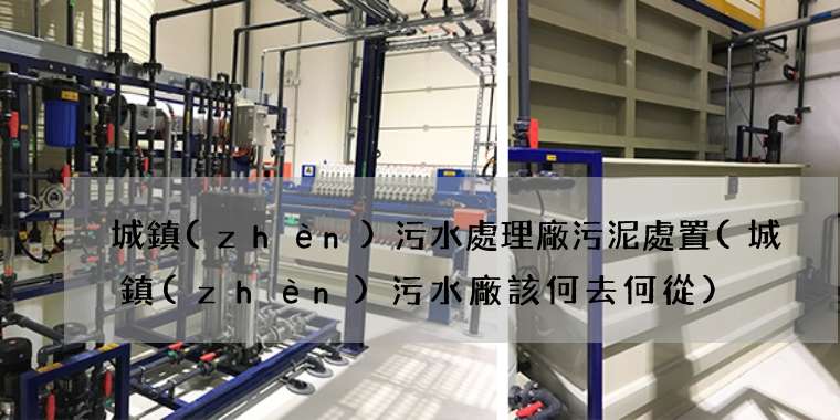 城鎮(zhèn)污水處理廠污泥處置(城鎮(zhèn)污水廠該何去何從)